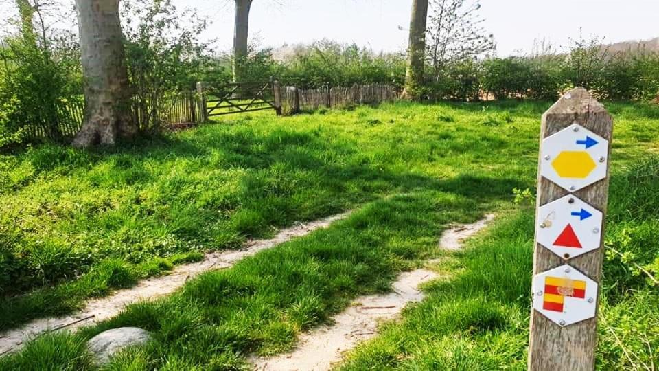 Vakantiewoning Henisdael Heers Exteriör bild