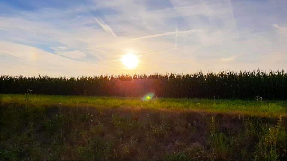 Vakantiewoning Henisdael Heers Exteriör bild