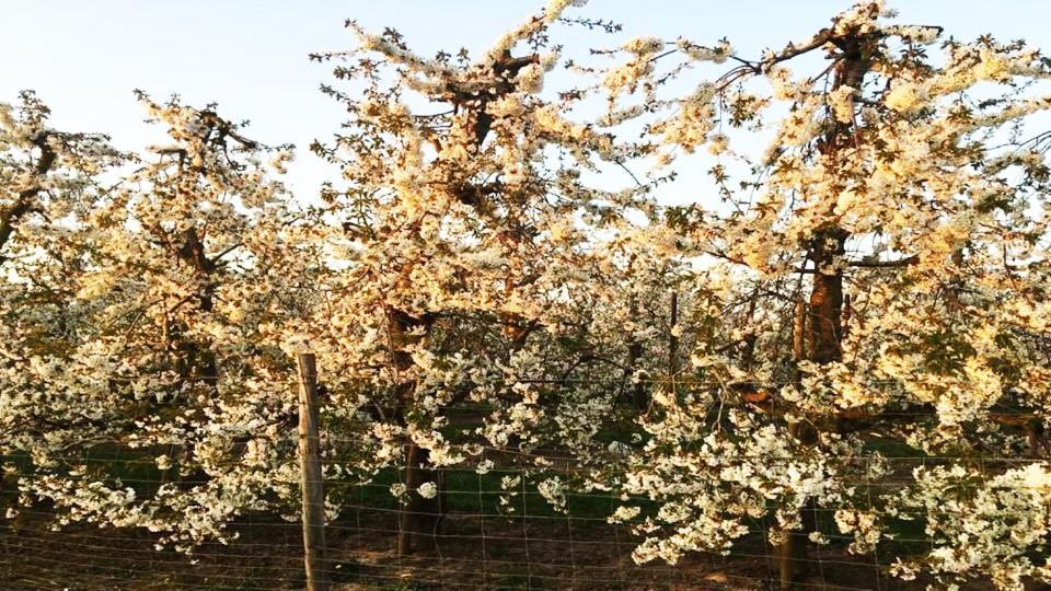Vakantiewoning Henisdael Heers Exteriör bild