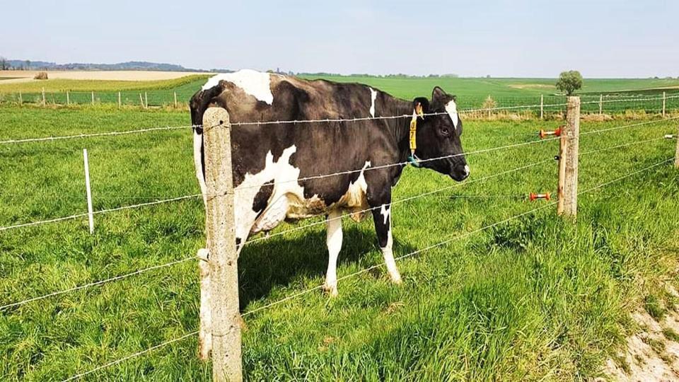 Vakantiewoning Henisdael Heers Exteriör bild