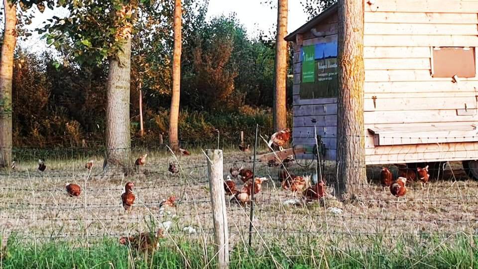 Vakantiewoning Henisdael Heers Exteriör bild