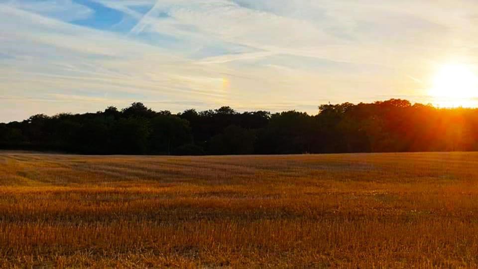 Vakantiewoning Henisdael Heers Exteriör bild